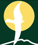 Logo Azet